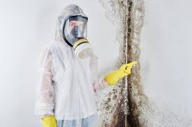 Reliable Countryside, IL Mold Prevention & Removal  Solutions